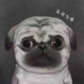 mike1981头像