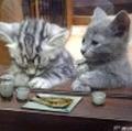 时髦扑克y头像