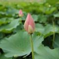 王伍7头像