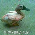 卍132504809头像