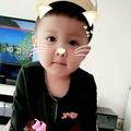 钢子53974109头像