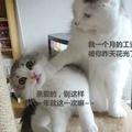 licunli头像