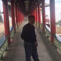 飞天梦想26头像