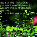 开心就好8288头像