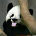 过了就该忘了头像