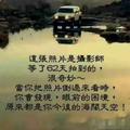 展望未来129196915头像