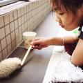 君临城下64440641头像