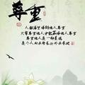 松柏之茂A头像