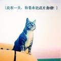 素弦声断3头像