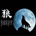 虹桥教育1头像