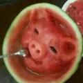 触摸上帝脸庞头像