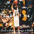 LakersChelseaXing头像