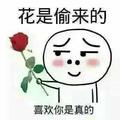 坏鑫1头像