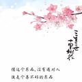 直率小猫Kf头像