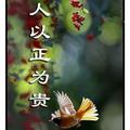ABC只求份安定头像