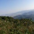 阿山147384618头像