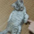 vinA · 小鹏G9车主·车龄2年头像