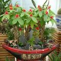 我姓赵186924160头像