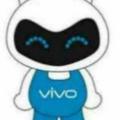 vivo打手团队队长头像