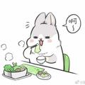 优雅花猫tk头像