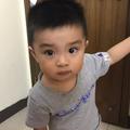 HZF21187559294头像
