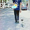 鱼眠21头像