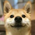 imHILL头像
