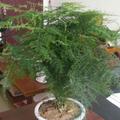 风之沙34头像