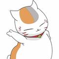 不二199305854头像