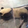 八荒上神头像