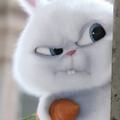 pomelo_mj头像