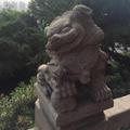 Raymond38210578222头像