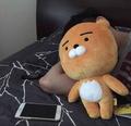 易多多的梦 · 宝马5系车主·车龄2年头像