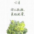 六月217009922头像