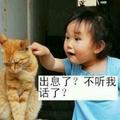 鼓捣猫4 · 锋兰达车主·车龄2年头像