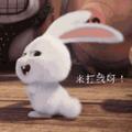 207654832头像