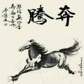 狼行天下2120948头像