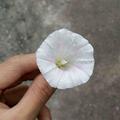 0932丶2头像