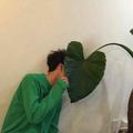 于帅221757244头像