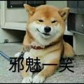 pt222160160头像