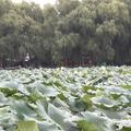 扯淡218013519头像