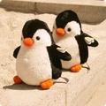 冬天的小企鹅2头像