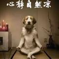 7秒天堂 · 奔驰C级车主·车龄2年头像