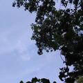 主角103764566头像
