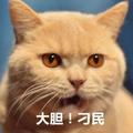 开心226923238头像