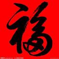 溜溜喵喵喵头像