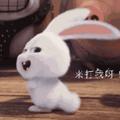 苗153470922头像