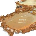 追风的小蚂蚁头像