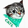 一大包苦猫粮头像