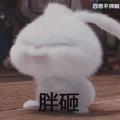 你是我心上的秘密头像